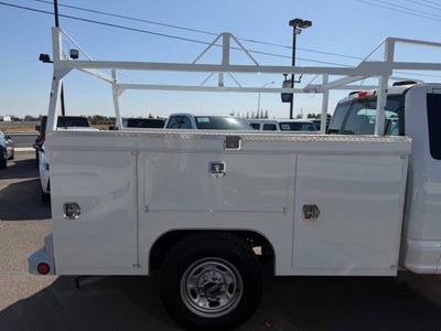 2020 Ford Super Duty F-250 SRW XL 4x2 2dr Regular Cab 8 ft. LB Pickup