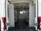 2024 Ford Transit Cargo Van 250 3dr LWB Medium Roof Cargo Van