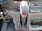 2024 Ford Transit Cargo Van 250 3dr SWB Low Roof Cargo Van