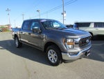 2023 Ford F-150 XLT 4x4 4dr SuperCrew 5.5 ft. SB