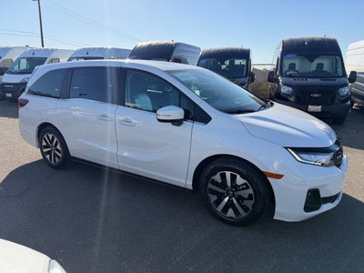 2025 Honda Odyssey EX-L