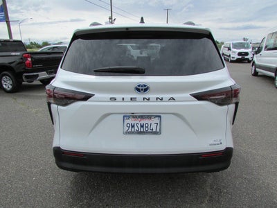 2024 Toyota Sienna XLE 7 Passenger 4dr Mini Van