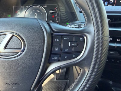 2021 Lexus UX UX 250h
