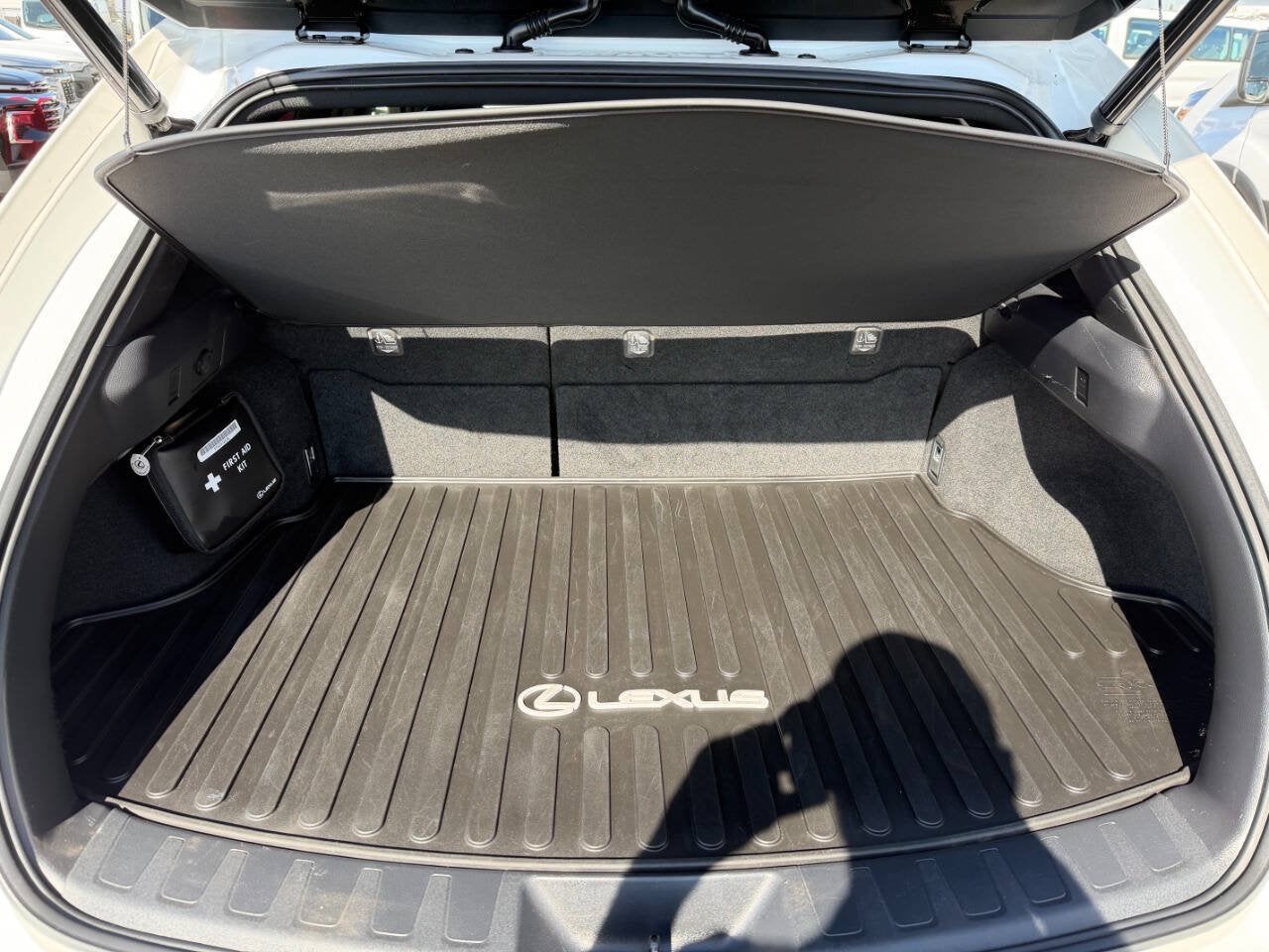 2021 Lexus UX UX 250h