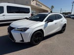 2021 Lexus UX UX 250h